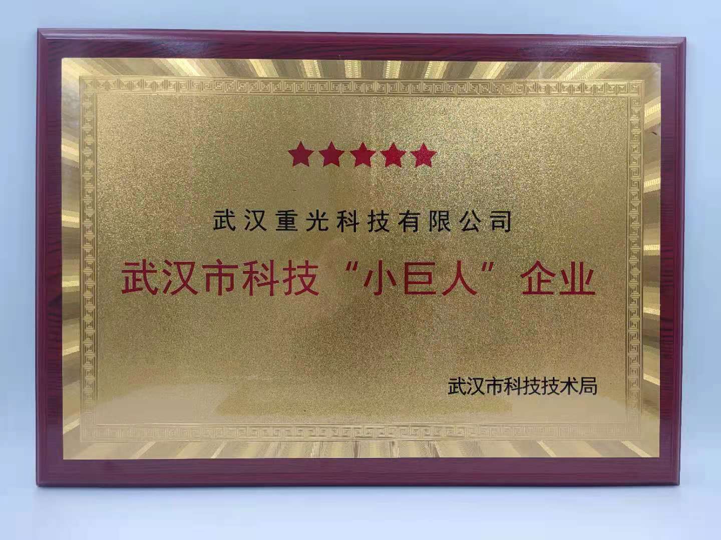 武漢市科技